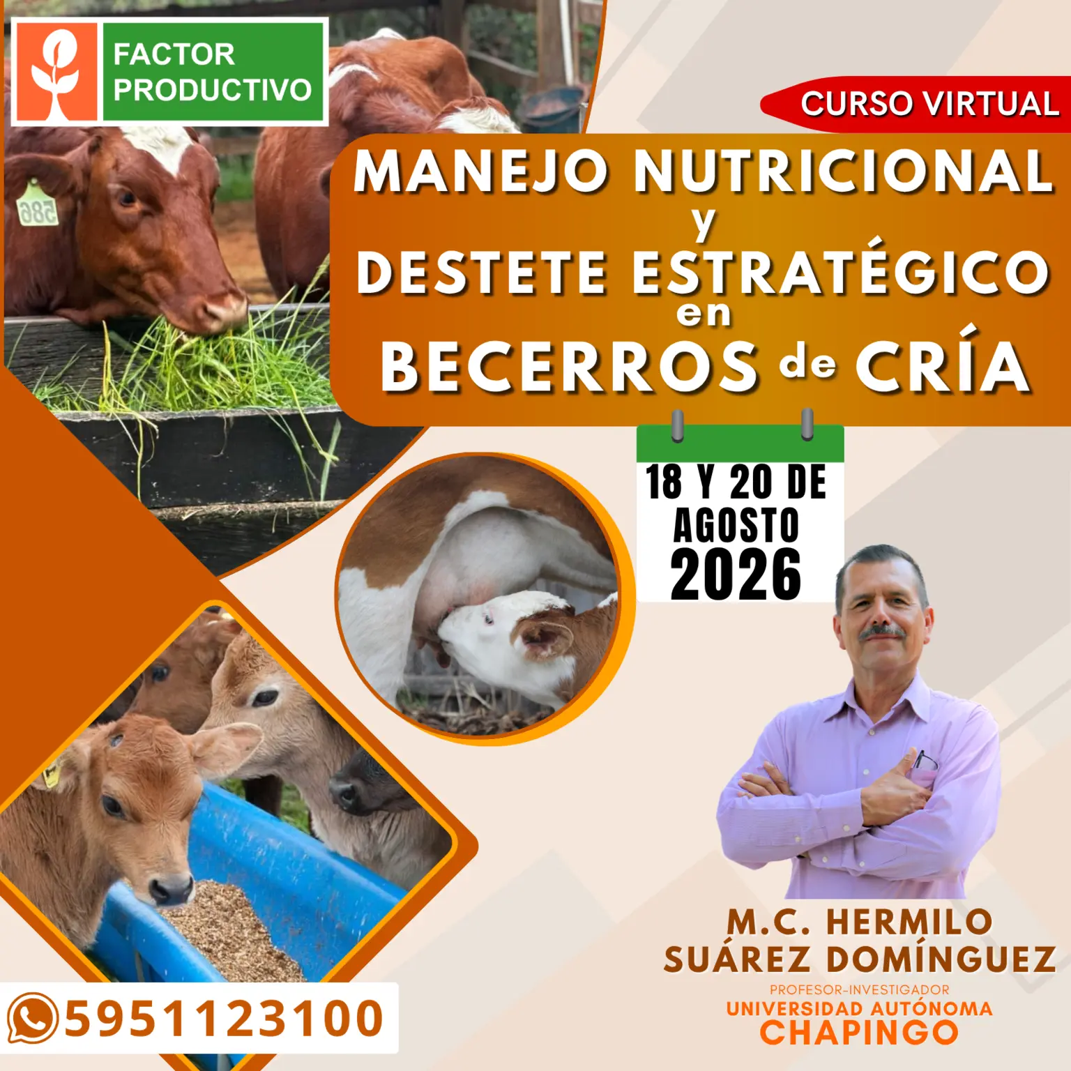 Programa del curso Manejo Nutricional y Destete Estratégico en Becerros de Cría